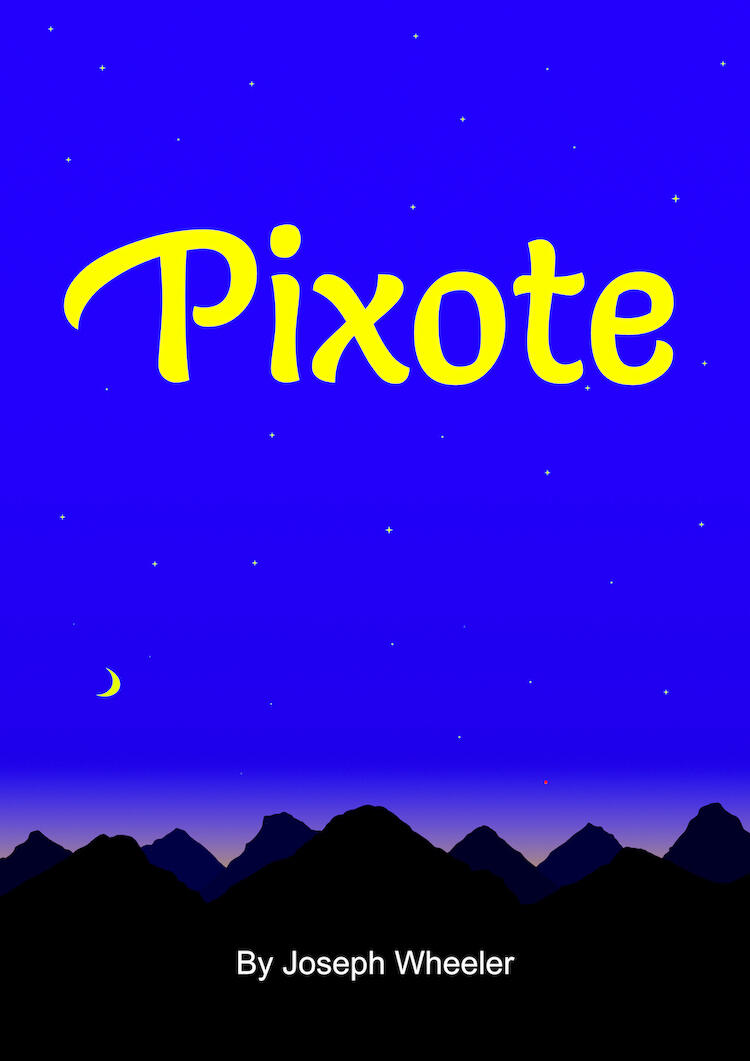 Pixote - A Modern Classic Book Pixote The Book By Author Joseph Wheeler